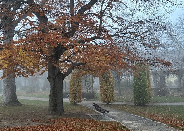 Bild: Herbst im Park