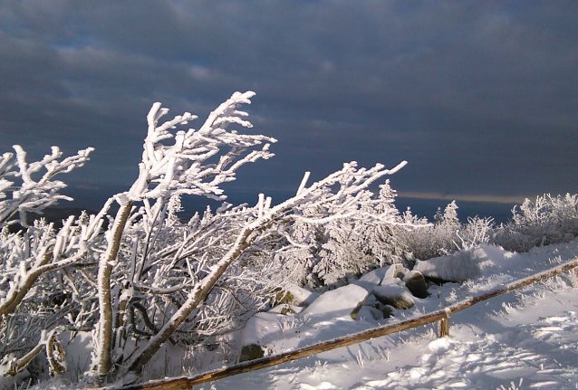 Bild: Wenig Hoffnung auf wei&szlig;e Weihnacht verhei&szlig;t der Wetterbericht