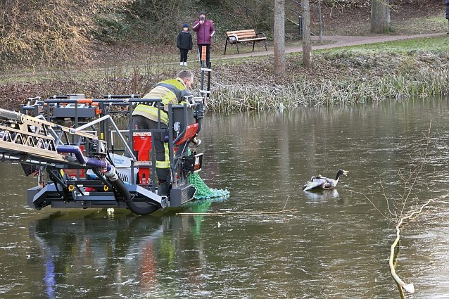 Bild: Tierischer Hilfseinsatz im Kurpark