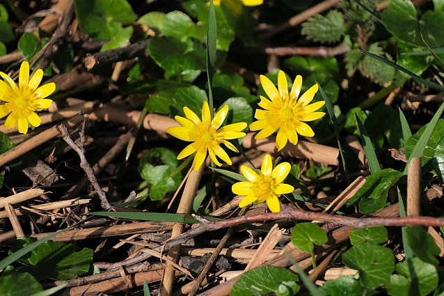 Bild: 