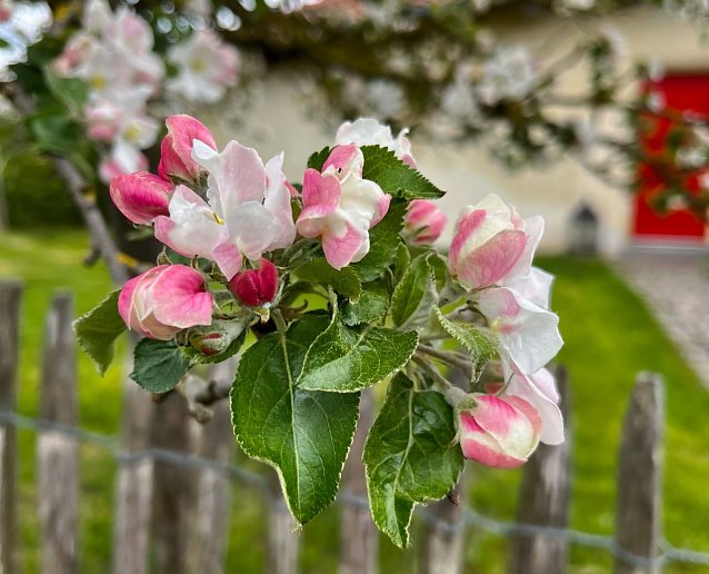 Bild: 