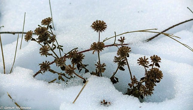 Bild: Wetter-Bild