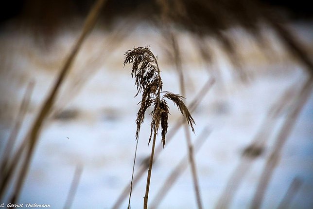 Bild: Wetter-Bild