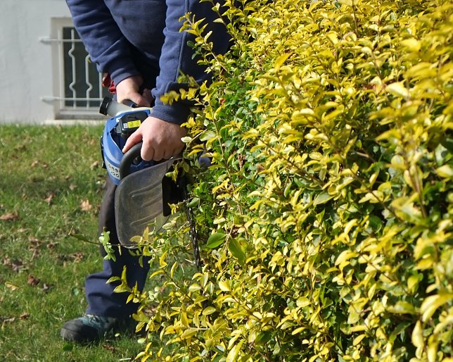 Bild: Vorsicht bei Gartenarbeiten