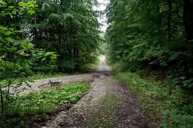 Bild: Wetter-Bild
