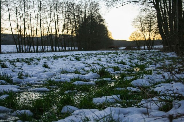 Bild: Winter