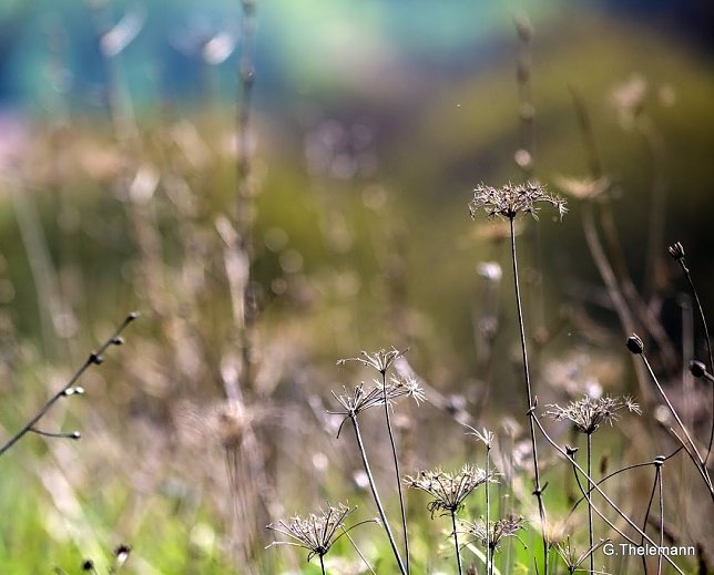 Bild: Wetter-Bild