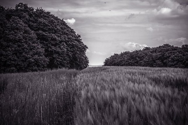 Bild: Wetterbild