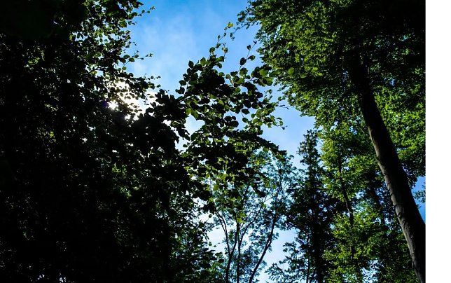Bild: Sonne in Sicht