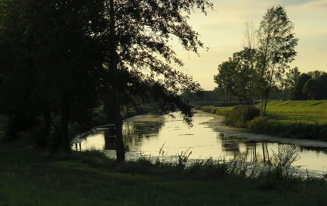 Bild: Lichtblick