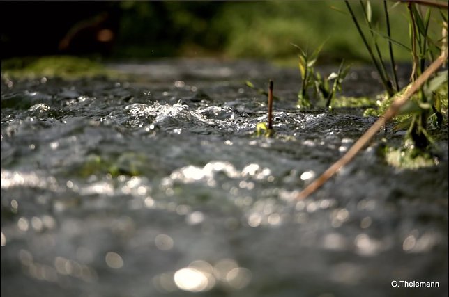 Bild: Wetter-Bild