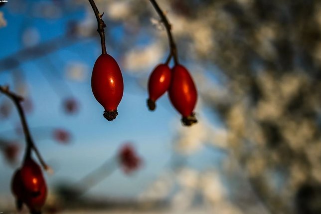 Bild: Wetter-Bild