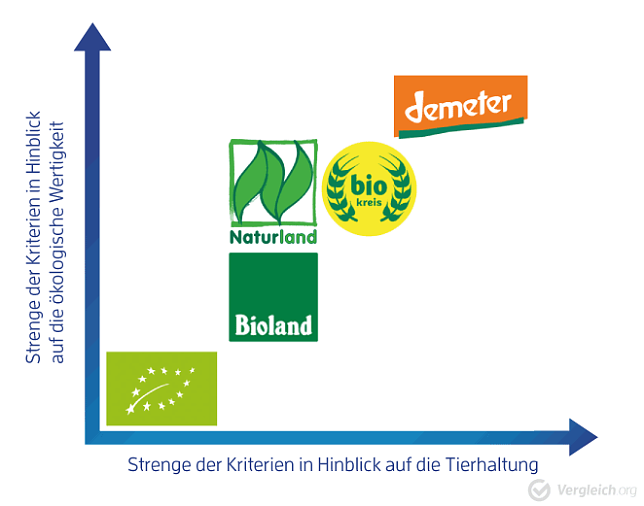 Bild: Grafik