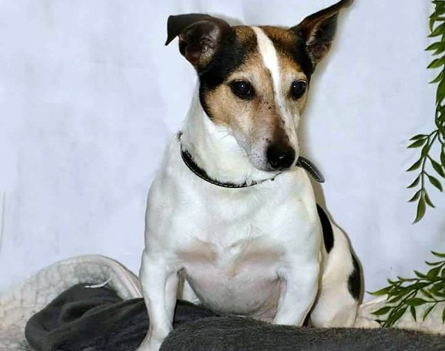 Bild: Rolf
