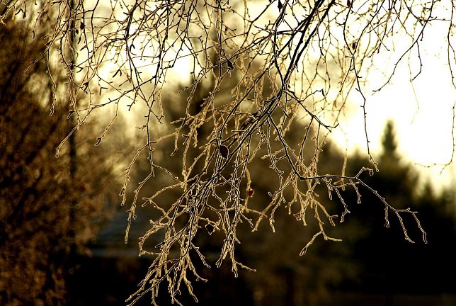 Bild: Wetter-Bild