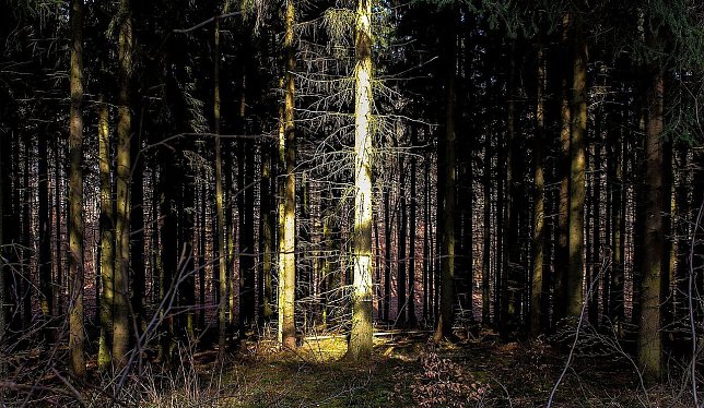 Bild: Ein wenig Sonne