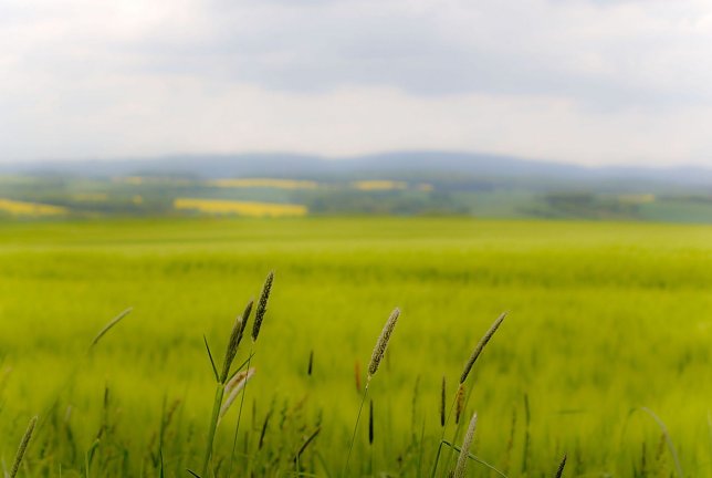 Bild: Wetter-Bild