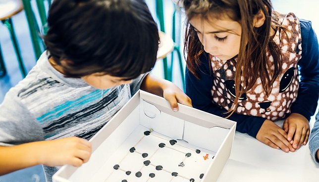 Bild: Kinder erforschen und entdecken die Vielfalt des Alltags