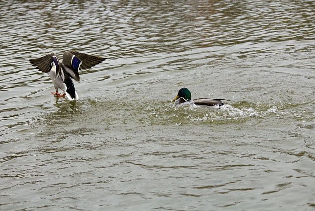 Bild: Wetter-Bild