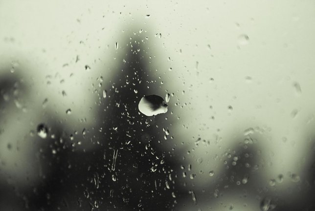 Bild: Wetter-Bild
