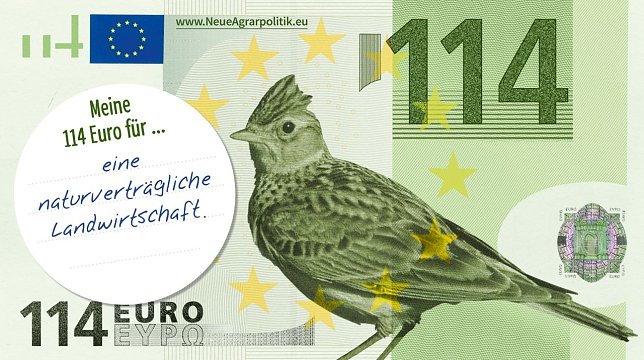 Bild: Postkarte