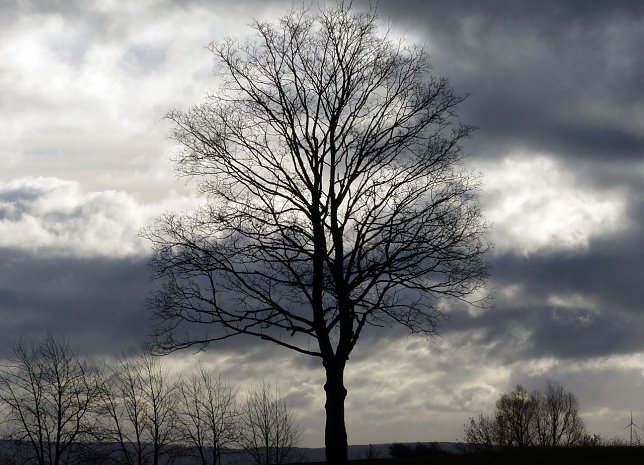 Bild: Wetterbild