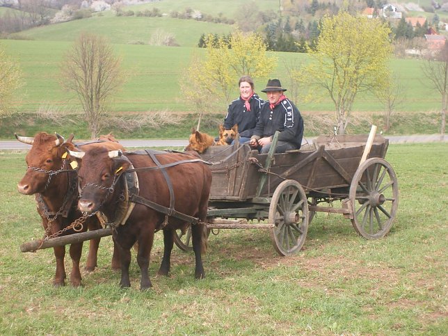 Bild: Eine Runde mit dem Leiterwagen