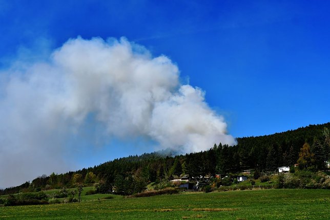 Bild: Waldbrand in Th&uuml;ringen