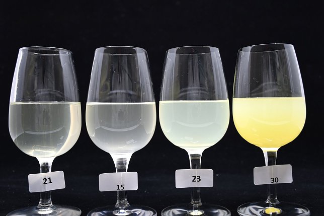 Bild: Zitrus-Limonaden unterscheiden sich sowohl in Farbe als auch in Klarheit