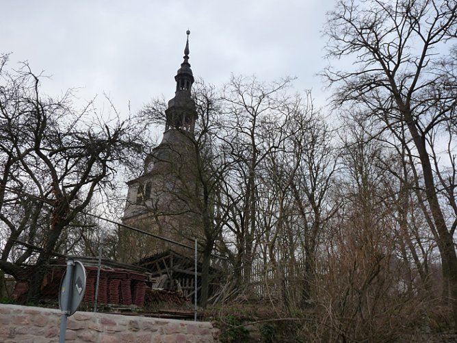 Laufen mit Olympiasieger und mehr (Foto: Karl-Heinz Herrmann) Laufen mit Olympiasieger und mehr (Foto: Karl-Heinz Herrmann)