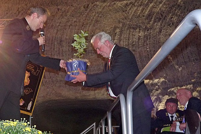 Kr&uuml;ppelweide (Foto: Karl-Heinz Herrmann)