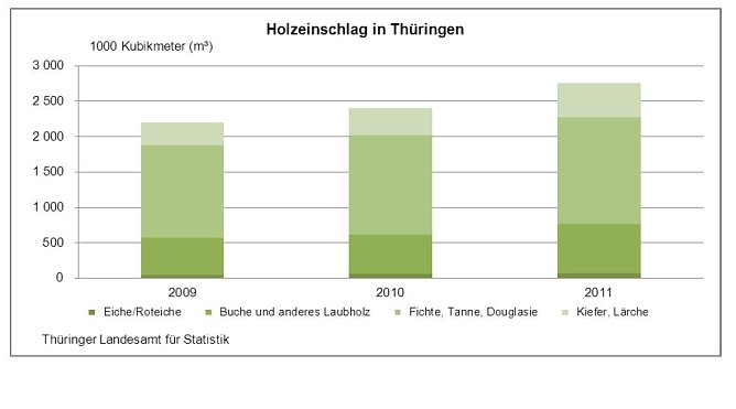 Grafik (Foto: TLS)