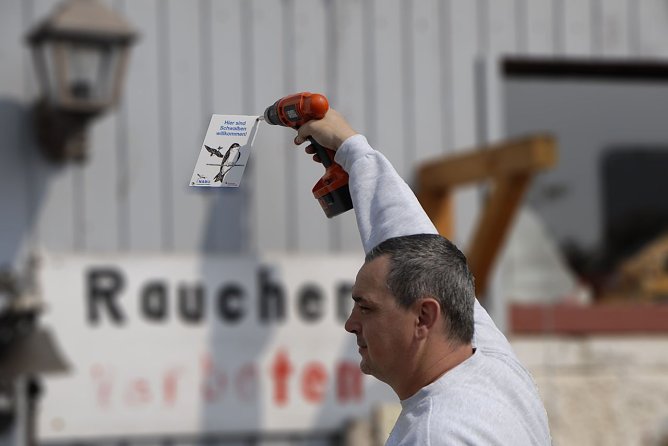 Freunde der Schwalben (Foto: NABU) Freunde der Schwalben (Foto: NABU)