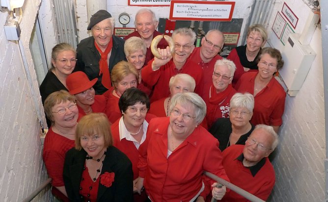 Die Silberdisteln (Foto: B. Susemihl) Die Silberdisteln (Foto: B. Susemihl)