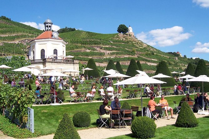 Immer dem Wein nach (Foto: pri)