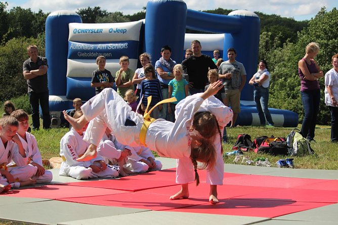 JuJutsu (Foto: Gerald Eckart)