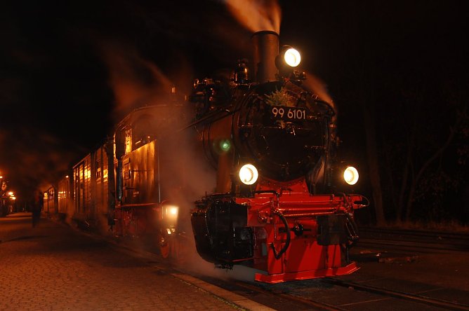 Zum Weihnachtsmarkt nach Wernigerode (Foto: privat) Zum Weihnachtsmarkt nach Wernigerode (Foto: privat)