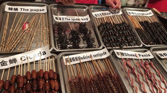 Chinesische Spezialitäten (Foto: Gisela Reinhardt) Chinesische Spezialitäten (Foto: Gisela Reinhardt)