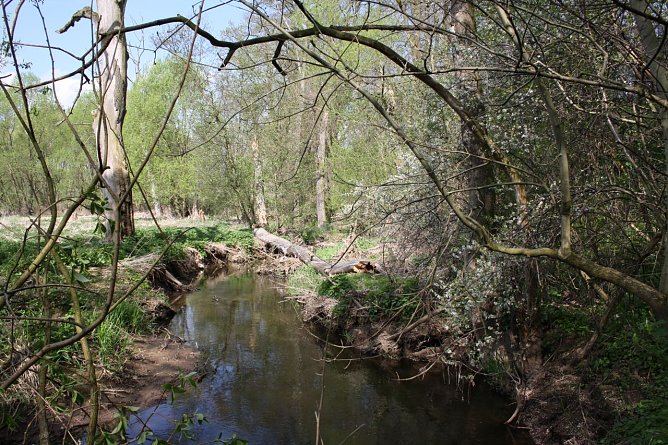 Naturefund (Foto: Arne Willenberg)