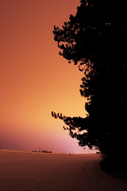 Am Richteberg (Foto: Marco He&szlig;)