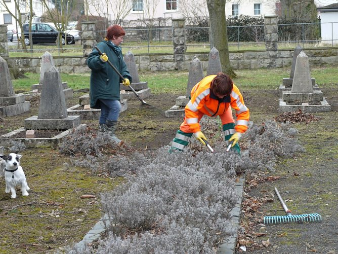 Fr&uuml;hjahrsputz (Foto: Ilka K&uuml;hn)