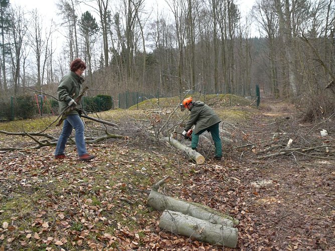 Fr&uuml;hjahrsputz (Foto: Ilka K&uuml;hn)