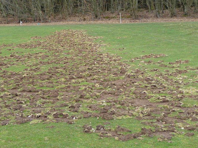 Golfplatz (Foto: Michael Falk)