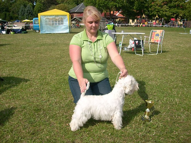 Spezialzuchtschau Hunde auf dem Possen (Foto: Karl-Heinz Herrmann) Spezialzuchtschau Hunde auf dem Possen (Foto: Karl-Heinz Herrmann)