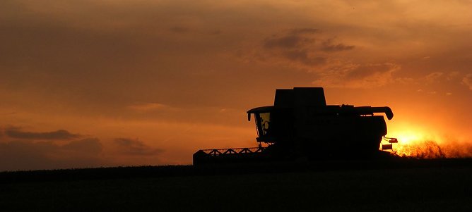 Sonnenuntergang in der Magdeburger B&ouml;rde (Foto: Susanne Stummvoll, DWD)