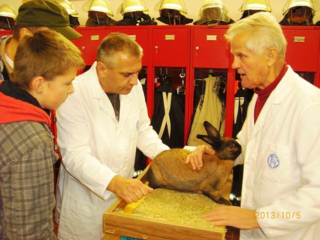 Auswahl der Besten (Foto: Erwin Kranert) Auswahl der Besten (Foto: Erwin Kranert)