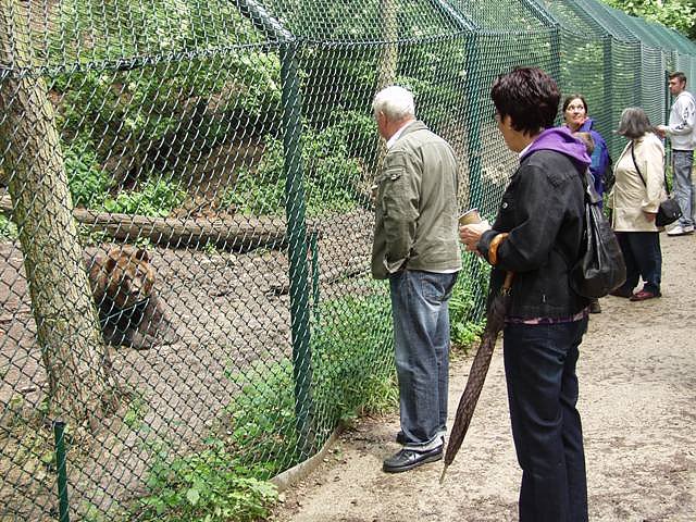 Bärenpark (Foto: Ilka Kühn) Bärenpark (Foto: Ilka Kühn)