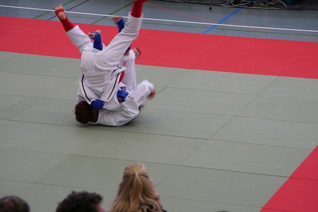 JuJutsu (Foto: Gerald Eckert) JuJutsu (Foto: Gerald Eckert)