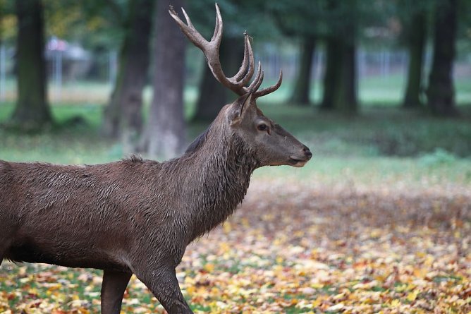 Im Stadtpark (Foto: nnz)