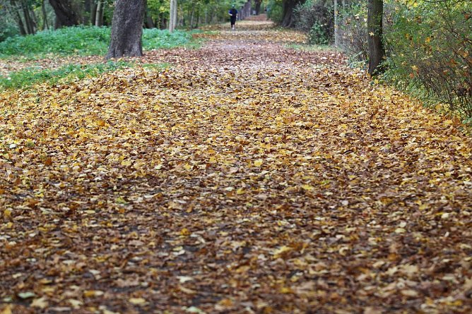 Nordhäuser Stadtpark (Foto: nnz) Nordhäuser Stadtpark (Foto: nnz)